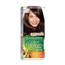GARNIER Color 1.0