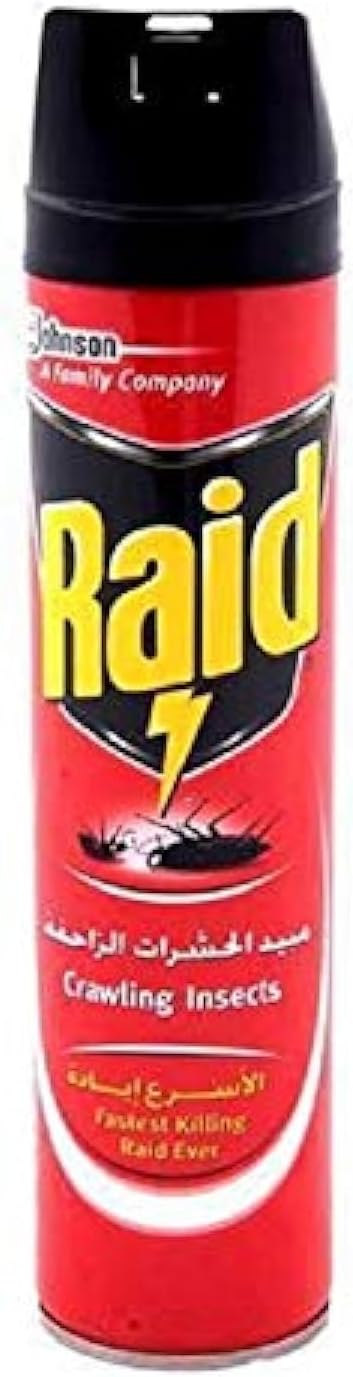 RAID CRAWLING INSECTS 300 ml