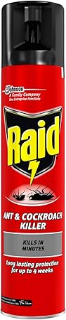 RAID offer COCKROACH AND ANT KILLER 300 ml