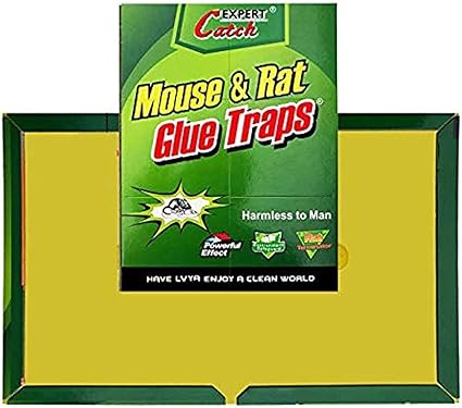 Mouse Glue Trap