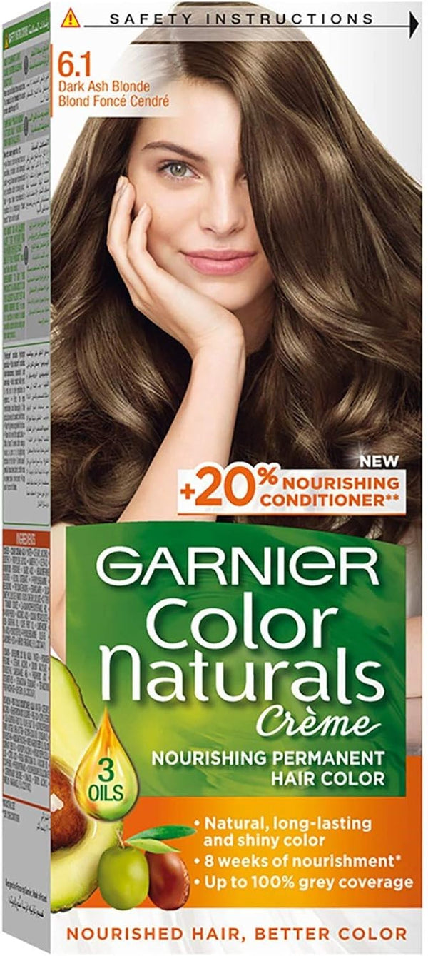 GARNIER Color 6.1